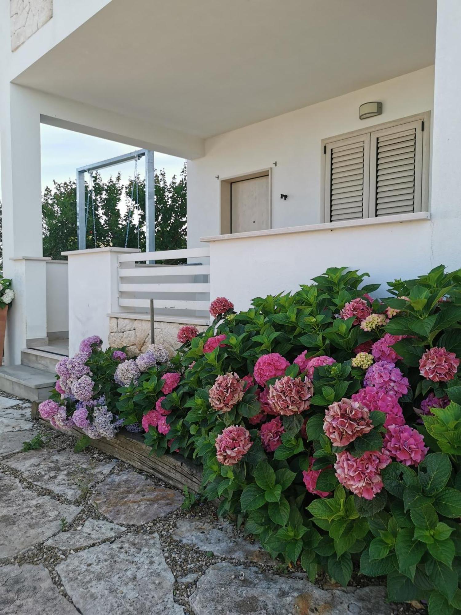 Ferienwohnung Vill'Aura Vieste Exterior foto