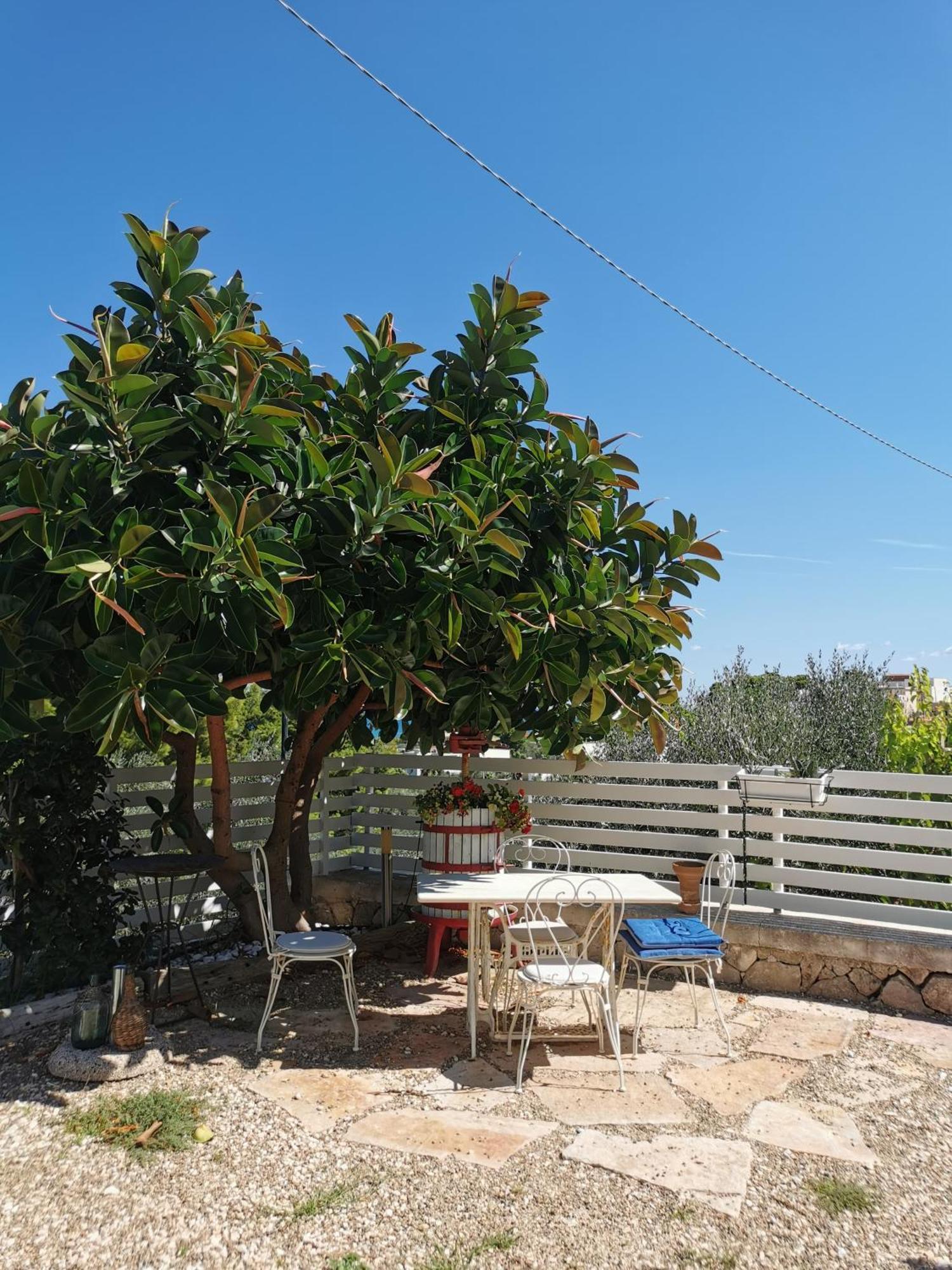 Ferienwohnung Vill'Aura Vieste Exterior foto