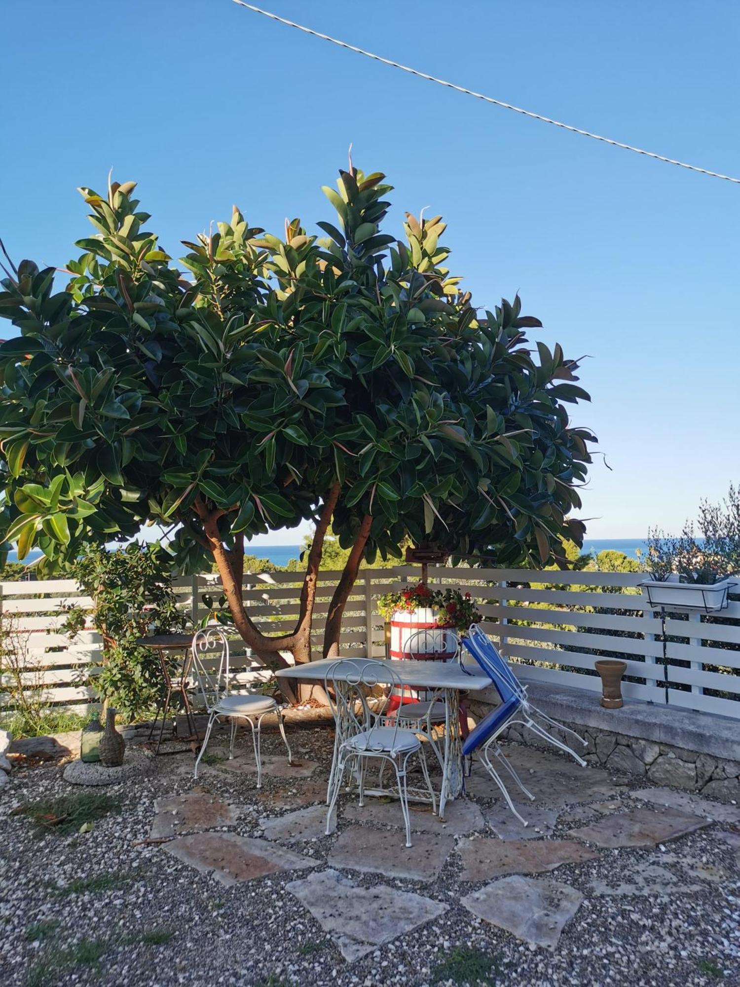 Ferienwohnung Vill'Aura Vieste Exterior foto
